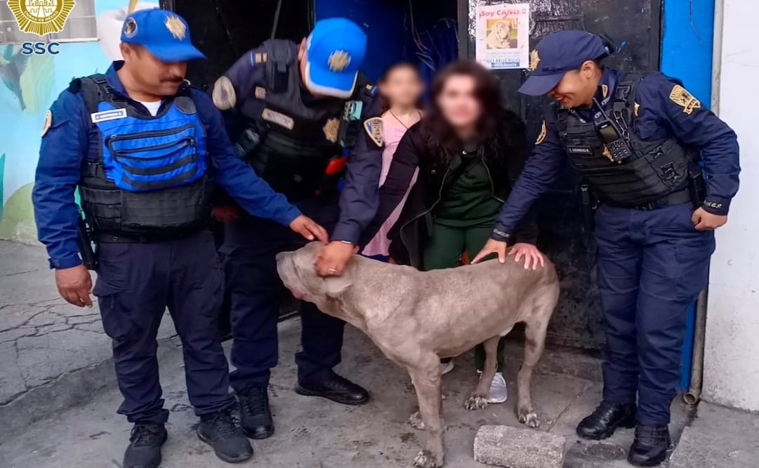 Policías rescatan a Canelo de un camellón en Iztacalco; logran reunirlo con su familia. Foto: Especial