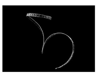 Usa fotógrafa mexicana “huajes” para rendir homenaje a Oaxaca