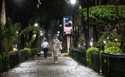 La herradura de árboles de la Condesa