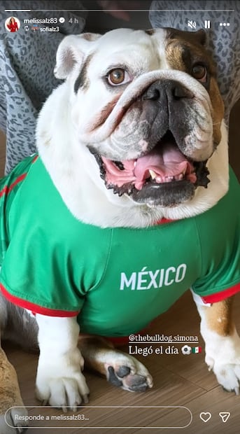 Melissa López, integrantes de JNS, comparte foto de su perrita Ramona.
Foto: Instagram, vía @melissalz83