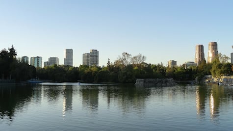 5 cosas que puedes hacer en el Bosque de Chapultepec