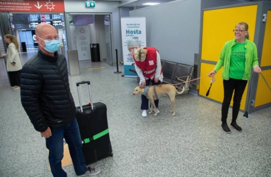 Finlandia utiliza perros adiestrados para detectar Covid-19 en el aeropuerto de Helsinki