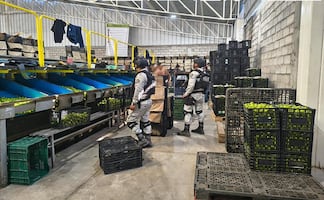 A 50 días del Plan Michoacán, detienen a 278 personas; realizan recorridos a empacadoras e industrias cítricas