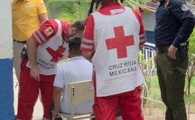 Regreso a clases se complica por enjambre de abejas en primaria de Culiacán; nueve alumnos fueron atacados