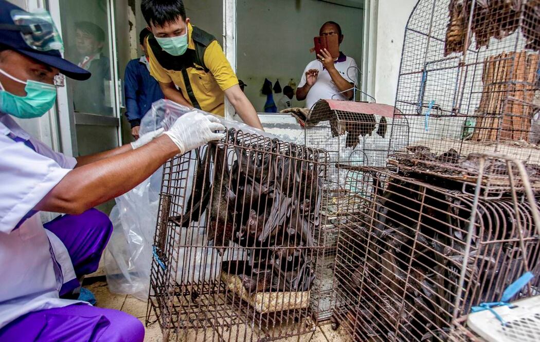 Imagen del mercado de animales de Wuhan, China. Foto: AP
