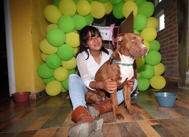 "Spay”, uno de los dos perritos que cayeron en el socavón de Puebla, regresa con su familia