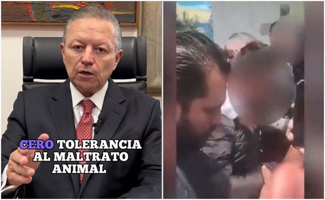 Ministro de la Corte, Arturo Zaldívar condena el asesinato de perro Benito. Foto: Captura Tiktok Arturo Zaldívar