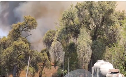 Bomberos atienden incendio de pastizal en Naucalpan