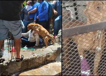Caso Camila: rescatan a perrito de mujer linchada en Taxco; intentó defenderla
