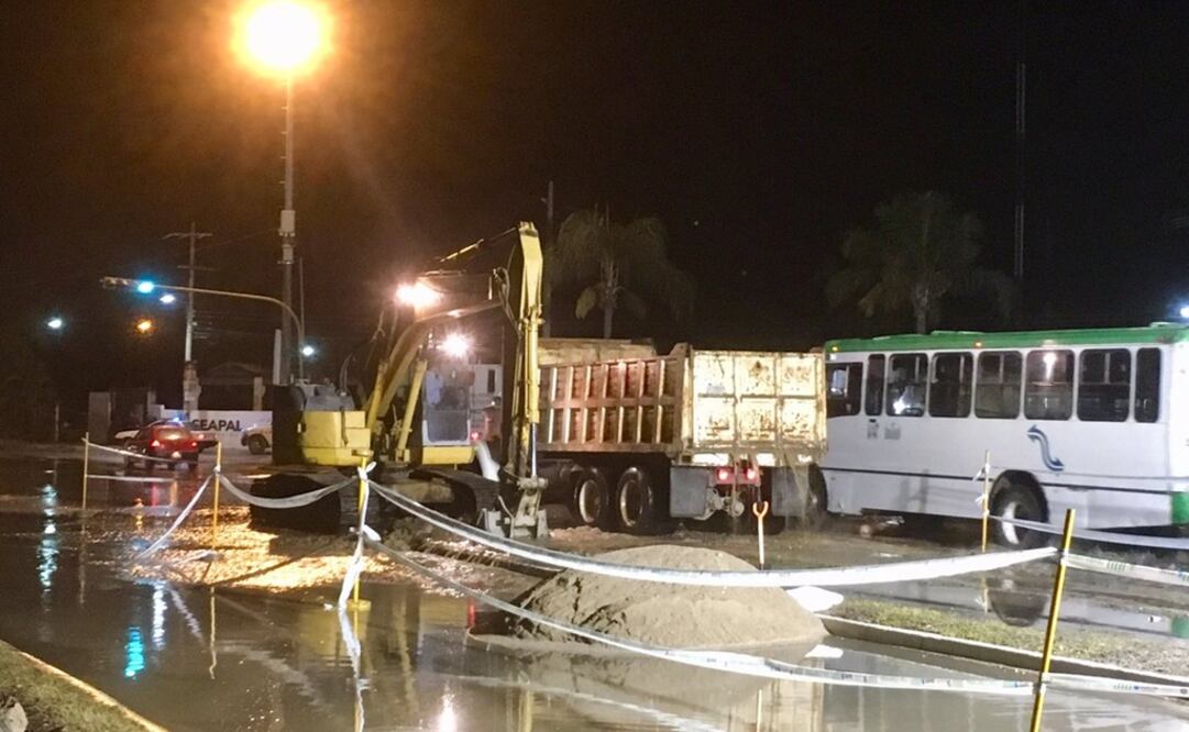 Foto: tomada de Twitter @Seapal_Vallarta