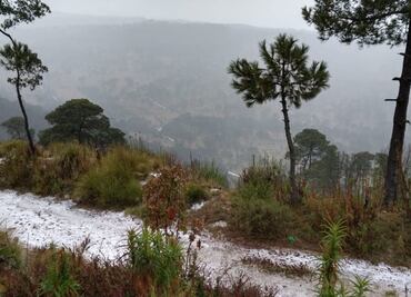 ¡Saca las cobijas! Este lunes habrá un nuevo frente frío; continuarán las lluvias y heladas en estos estados