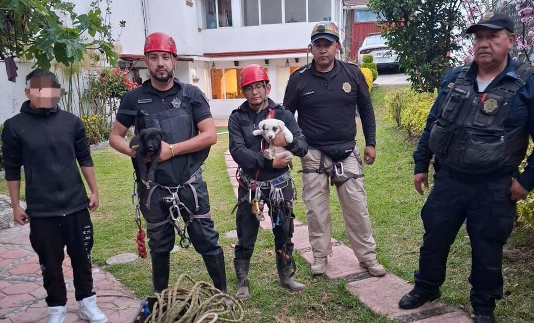 Policías pertenecientes a la Brigada Animal hicieron la acción del día; rescataron a dos cachorritos que quedaron atrapados en una barranca ubicada en la colonia Tlacoyaque, de la alcaldía Álvaro Obregón. Foto: SSC