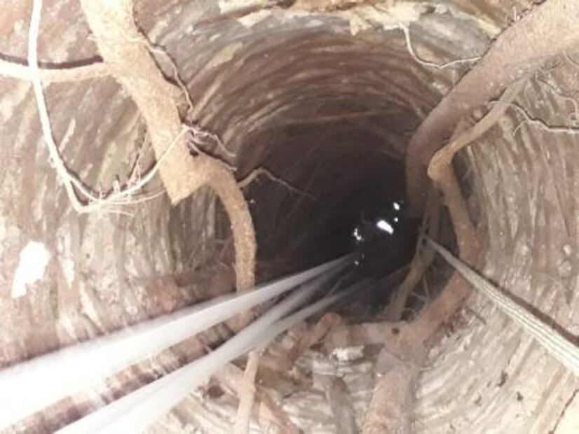 Bomberos de Oaxaca rescatan a perro que cayó a un pozo