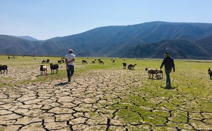 Laguna de Metztitlán podría secarse en un mes, alerta Conagua