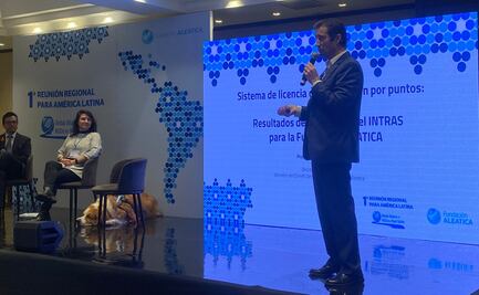 Expertos plantean licencia permanente acompañada de infracciones por puntos; buscan reducir muertes ocasionadas por accidentes viales