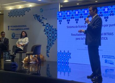 Expertos plantean licencia permanente acompañada de infracciones por puntos; buscan reducir muertes ocasionadas por accidentes viales