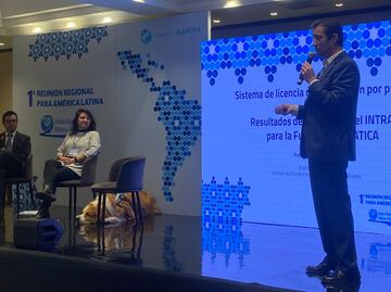 Expertos plantean licencia permanente acompañada de infracciones por puntos; buscan reducir muertes ocasionadas por accidentes viales