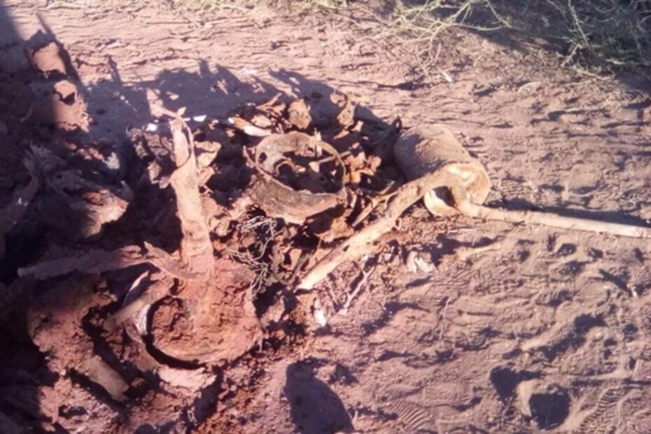 Investigan si restos óseos localizados en fosa clandestina en Sinaloa son de jóvenes desaparecidos en 2011