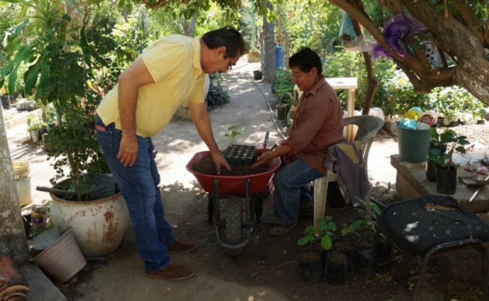 Se suman 5 mil campesinos a siembra de 4T