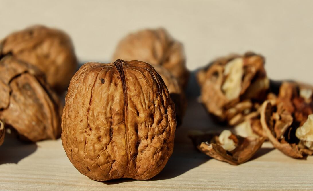 Nueces | Fuente: Pixabay