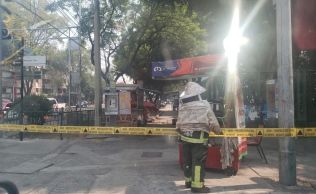Balonazo a panal provoca ataque de abejas en canchas de alcaldía Benito Juárez