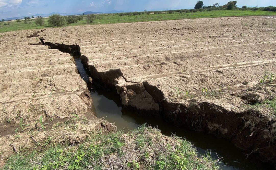 Fueron detectadas 15 zonas de grietas, algunas de ellas de hasta 300 metros lineales y varios metros de profundidad. Foto: Especial