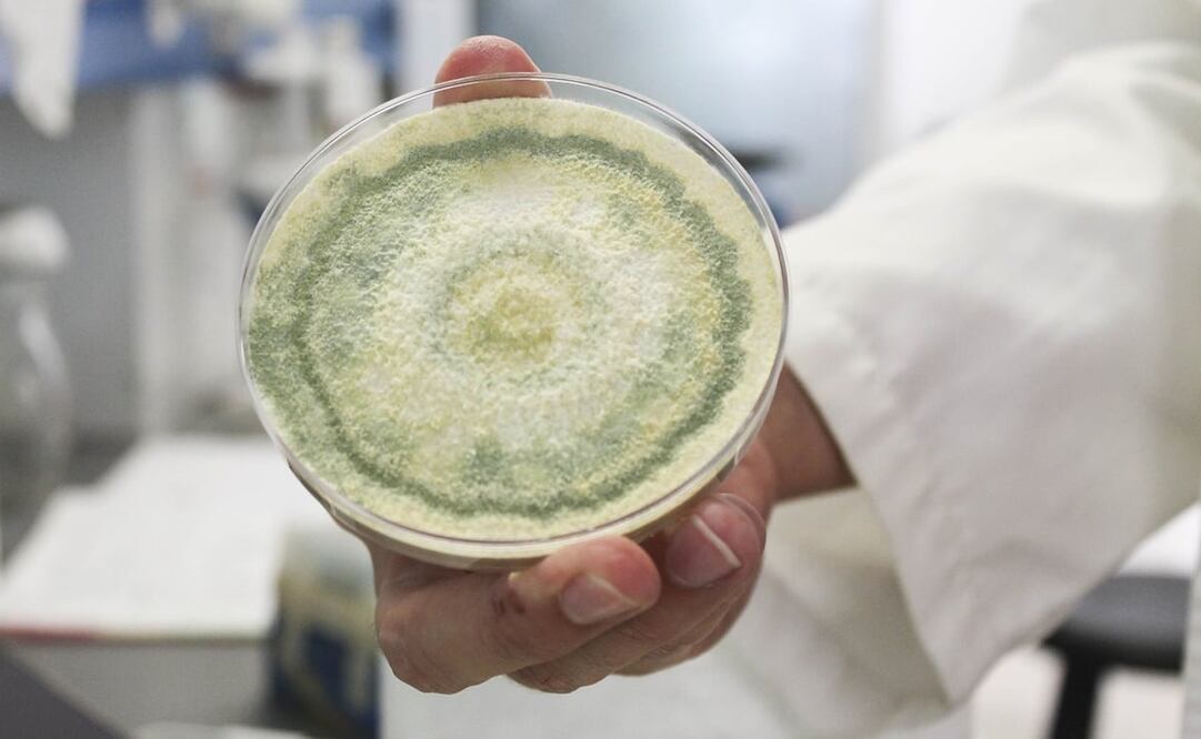 Imagen ilustrativa.Foto: Especial, Archivo El Universal