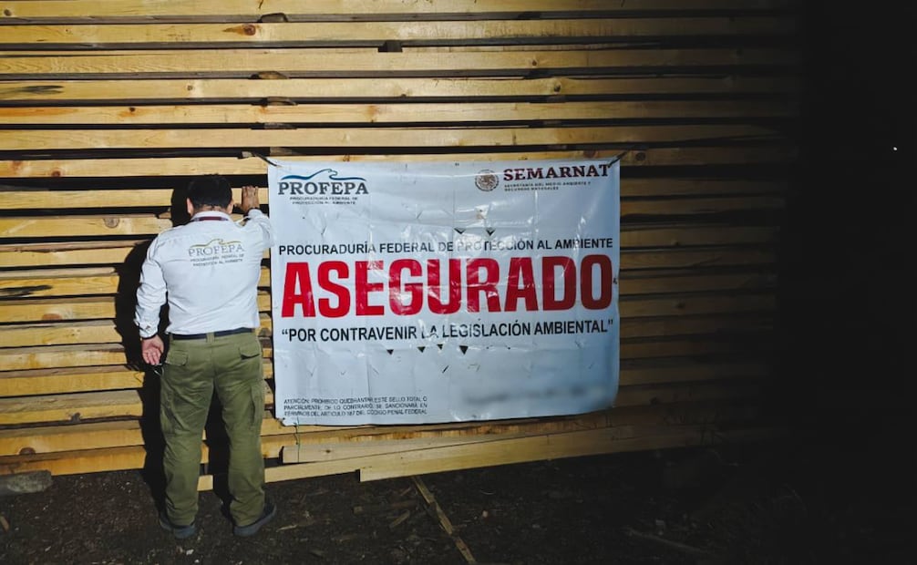 Aseguramiento de madera ilegal y de dos aserraderos en Chiapas. Foto: Procuraduría Federal de Protección al Ambiente (Profepa).