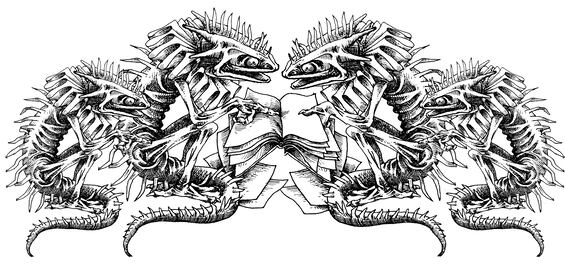 El secretario Meade se extravía 