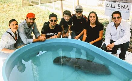 Influencers reparten despensas a afectados por aguas contaminadas en Tabasco