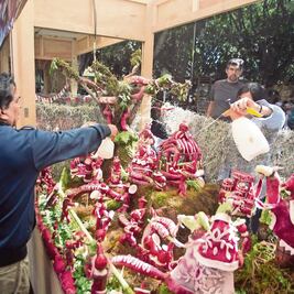 Celebran tradicional Noche de Rábanos en Oaxaca