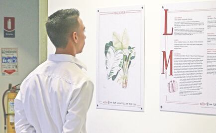 La flora, otro personaje en la vida de Macondo 