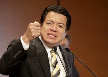 Bancada de Morena no se contaminará por renovación del partido: Delgado