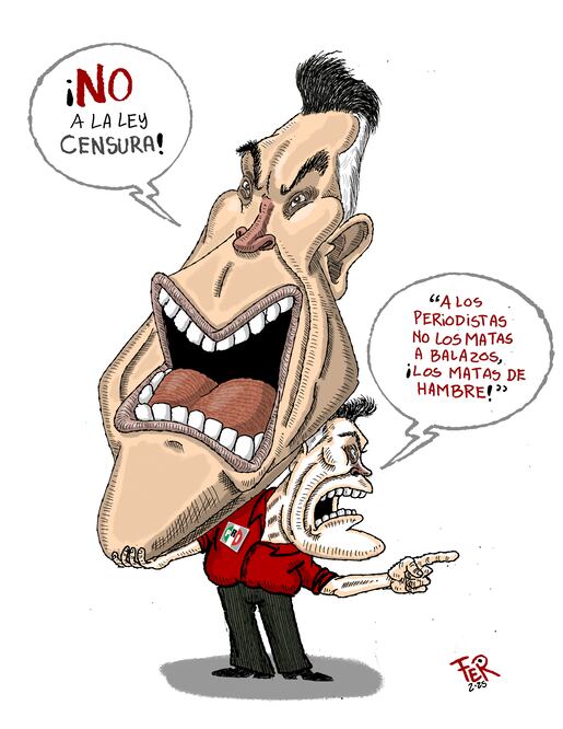 Cartón de FER