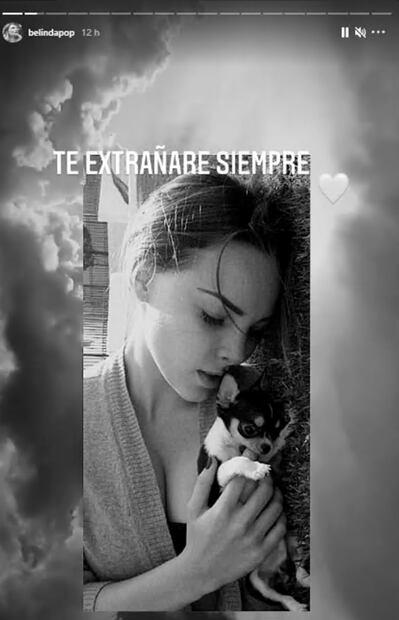 Belinda llora la muerte de su perro Gizmo, su bebé
