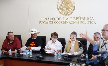 “Caminamos con el alma desgarrada”, dicen víctimas de violencia a Senadores