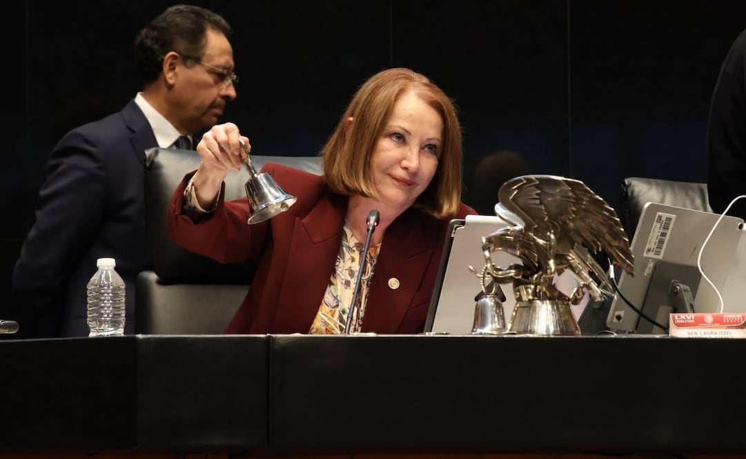 Laura Itzel Castillo Juárez, presidenta de la Mesa Directiva del Senado de la República. Foto: Especial