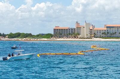 Analizarán dependencias logros contra el sagrazo en Quintana Roo