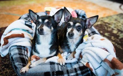 ¿A qué hora hará más frío hoy, 18 de enero del 2021?
