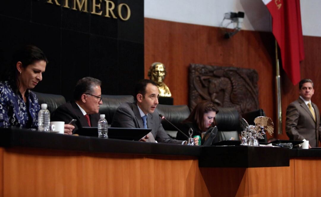 Los senadores pidieron hacer pública toda la información que genere dicho grupo. /Especial