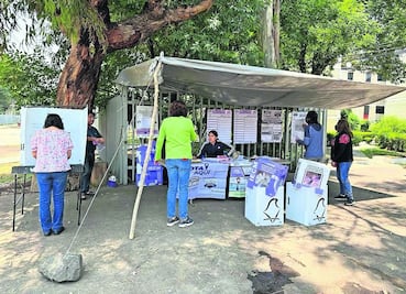Registran escasa participación en consulta ciudadana