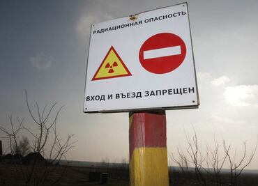 Accidente Chernóbil: El animal que fue inmune a la radiación y que dejó asombrados a los científicos