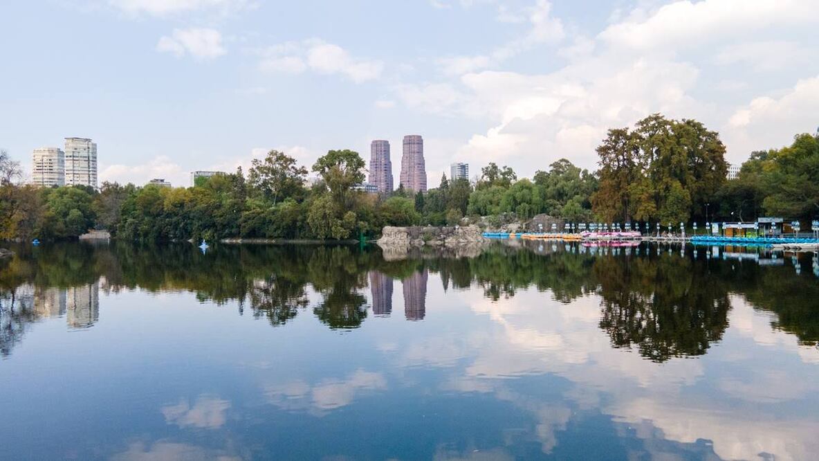 Foto: Bosque de Chapultepec