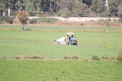 SAGARPA reforzará acciones en el sector rural