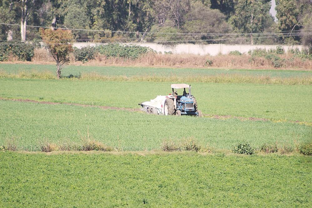 (Foto: Archivo EL UNIVERSAL)