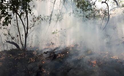 Woman faces up to 10 years in prison after setting the Tepozteco national park on fire while recording a video for social media