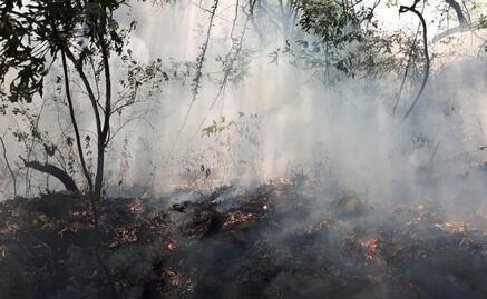 Woman faces up to 10 years in prison after setting the Tepozteco national park on fire while recording a video for social media