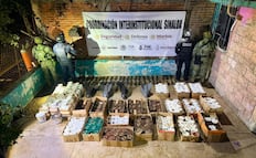 Aseguran 550 artefactos explosivos en El Rosario, Sinaloa; hallan camioneta robada y material para ataques con drones