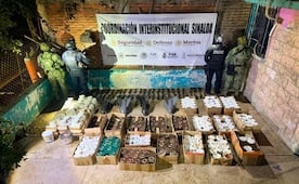 Aseguran 550 artefactos explosivos en El Rosario, Sinaloa; hallan camioneta robada y material para ataques con drones
