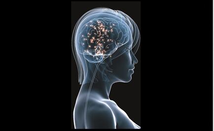 Identifican 40 nuevos genes relacionados con la inteligencia